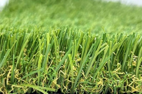 Landscape Grass